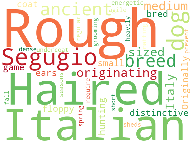 Word Cloud for italian_rough_haired_segugio