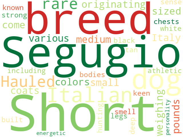 Word Cloud for italian_short_haired_segugio
