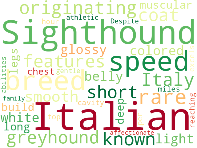 Word Cloud for italian_sighthound