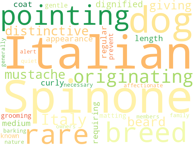 Word Cloud for italian_spinone