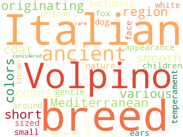 Word Cloud for italian_volpino