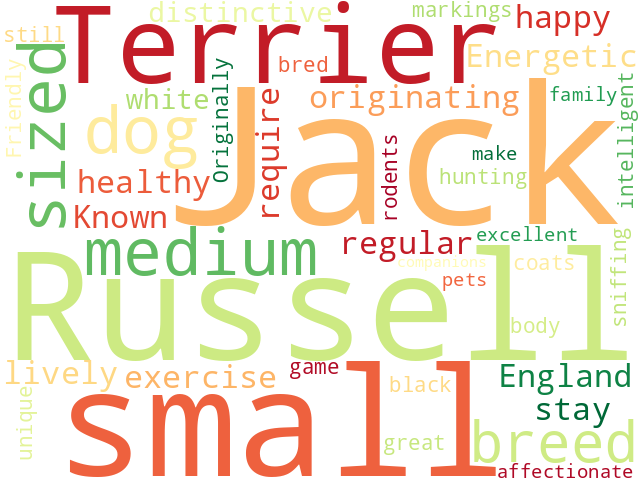 Word Cloud for jack_russell_terrier