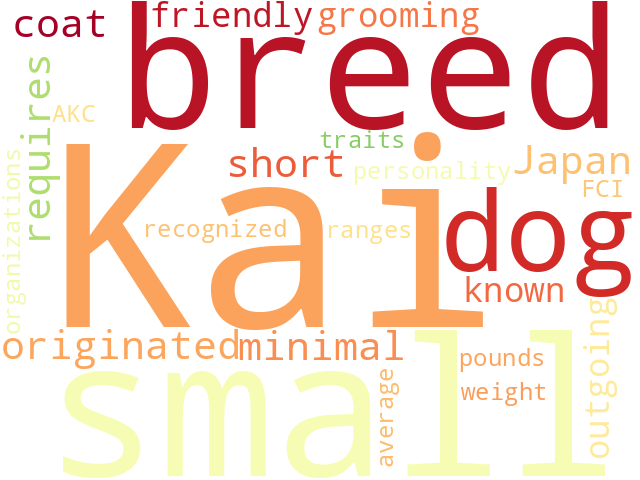 Word Cloud for kai