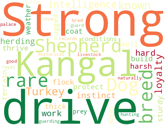 Word Cloud for kangal_shepherd_dog