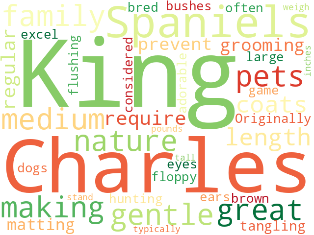 Word Cloud for king_charles_spaniel