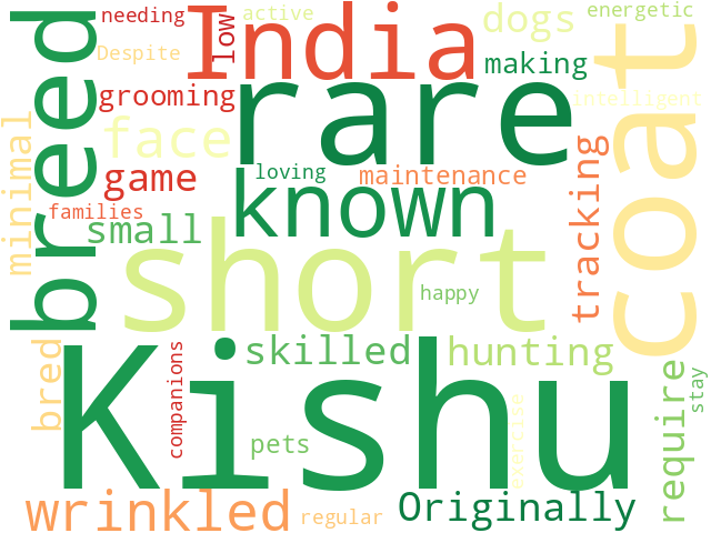 Word Cloud for kishu