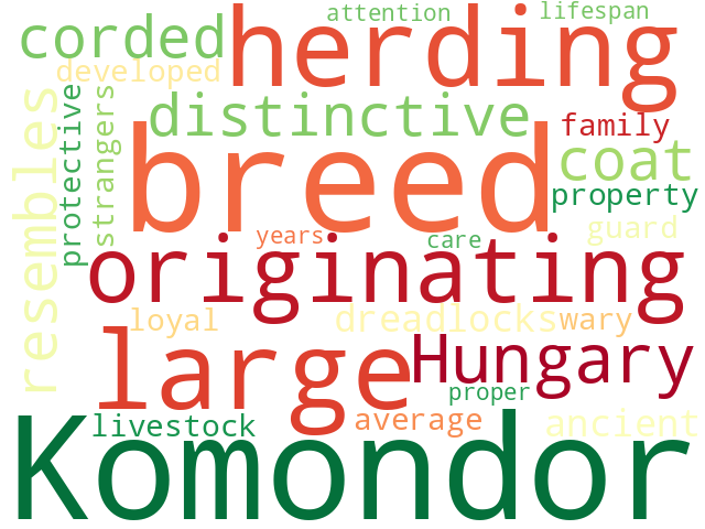 Word Cloud for komondor