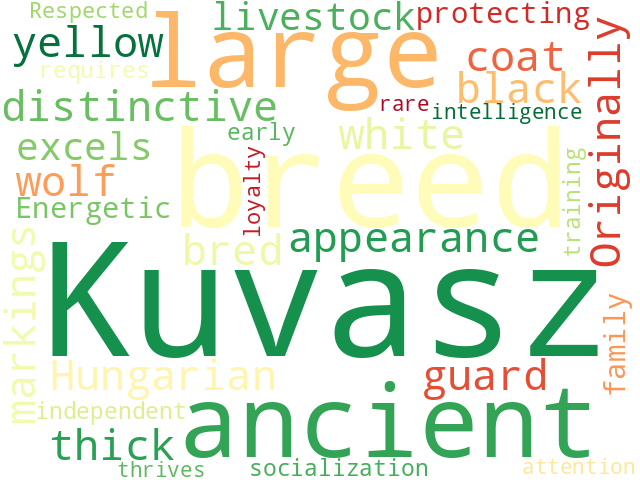 Word Cloud for kuvasz