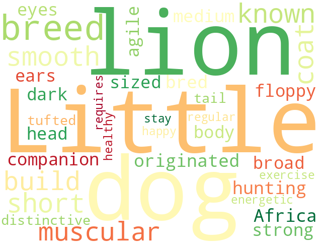 Word Cloud for little_lion_dog
