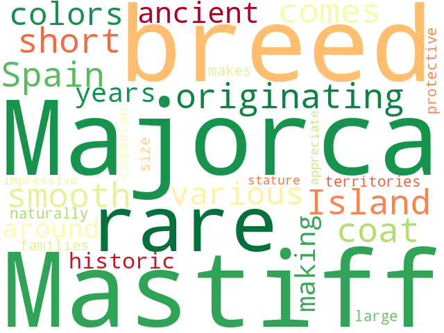 Word Cloud for majorca_mastiff