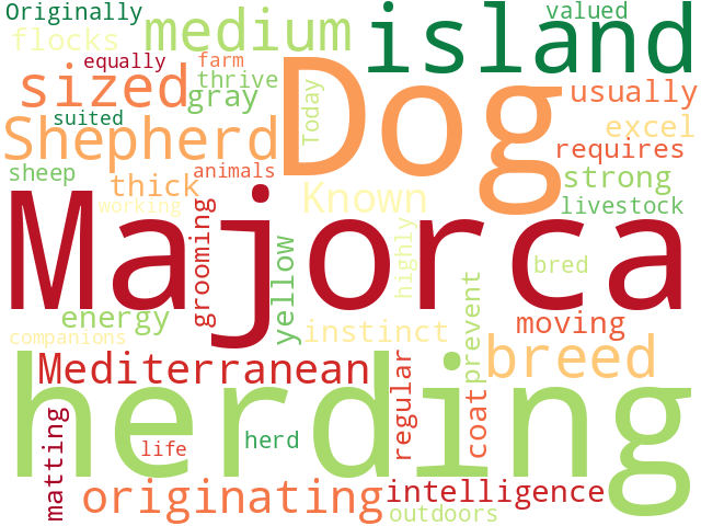 Word Cloud for majorca_shepherd_dog