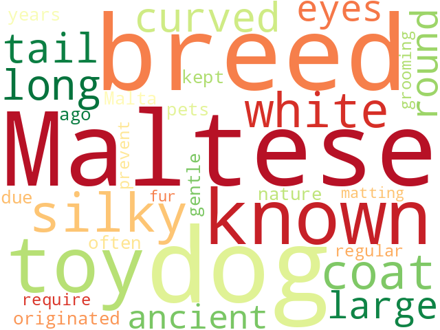Word Cloud for maltese