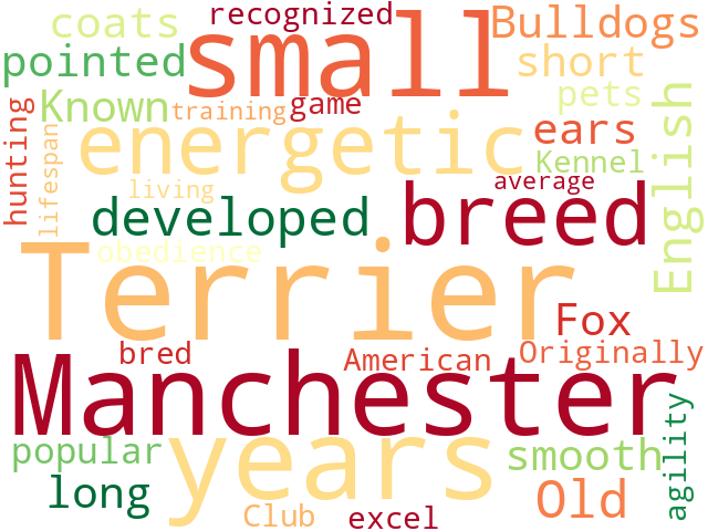 Word Cloud for manchester_terrier