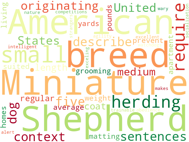 Word Cloud for miniature_american_shepherd