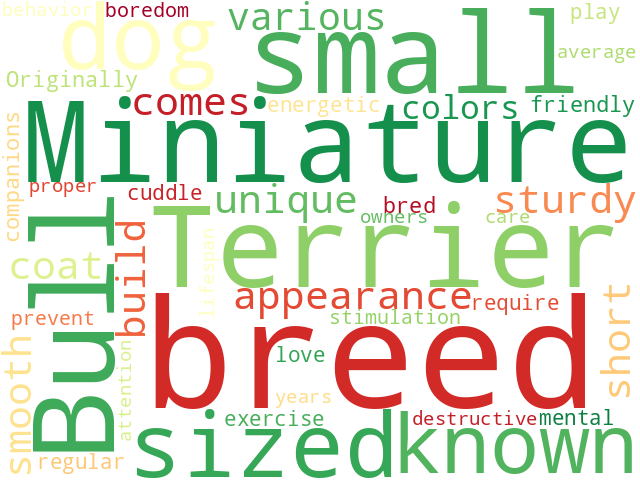 Word Cloud for miniature_bull_terrier