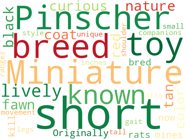 Word Cloud for miniature_pinscher