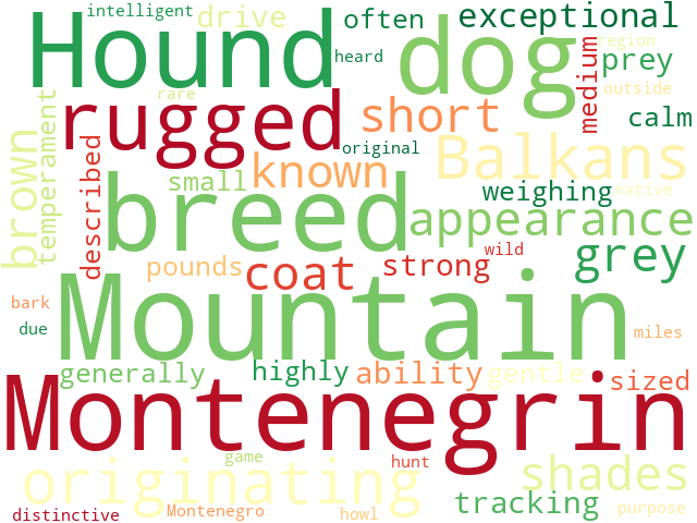 Word Cloud for montenegrin_mountain_hound