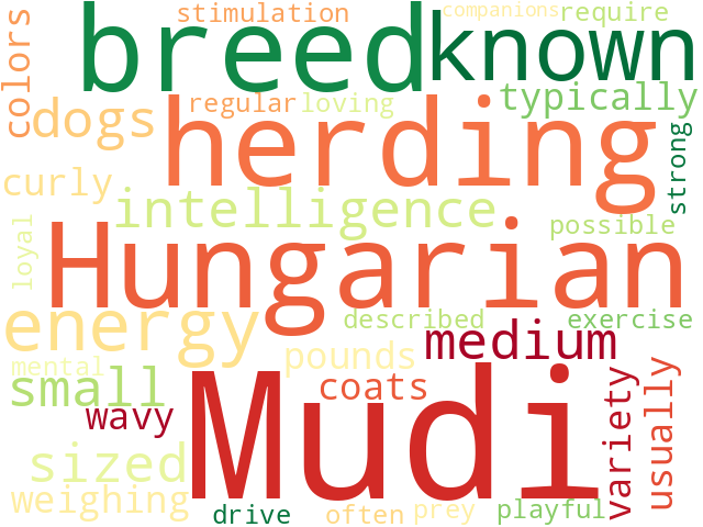 Word Cloud for mudi