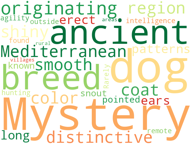 Word Cloud for mystery_dog
