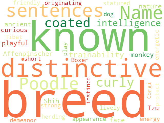 Word Cloud for name