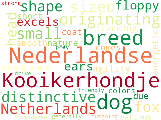 Word Cloud for nederlandse_kooikerhondje
