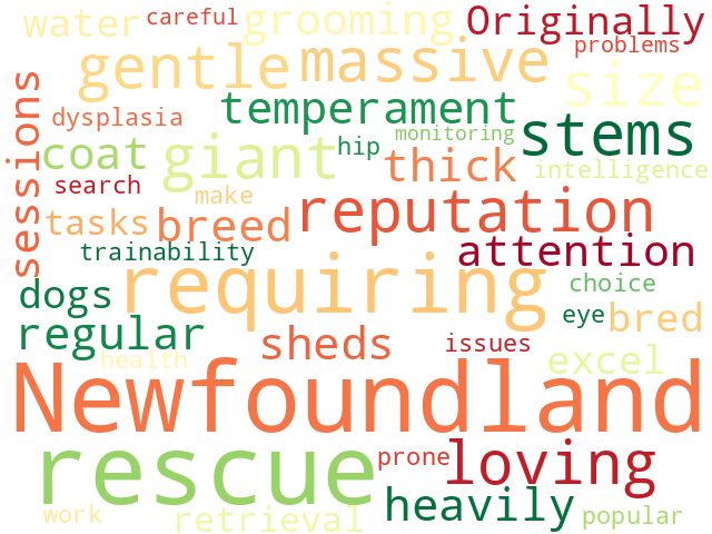 Word Cloud for newfoundland