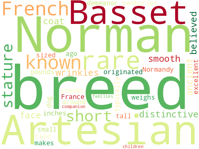 Word Cloud for norman_artesien_basset