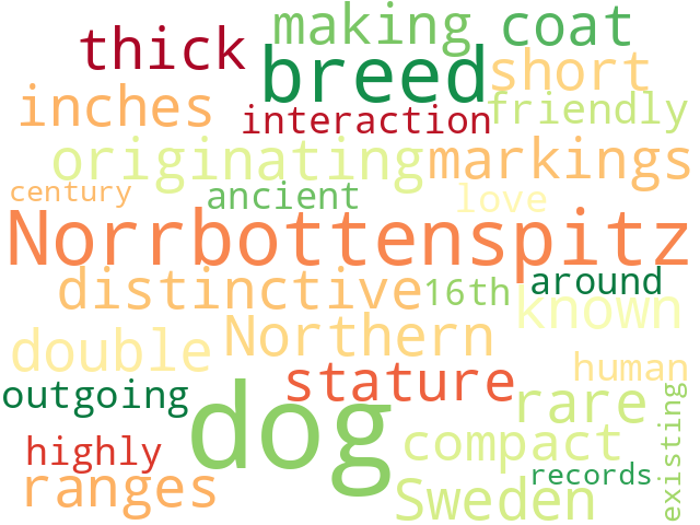 Word Cloud for norrbottenspitz