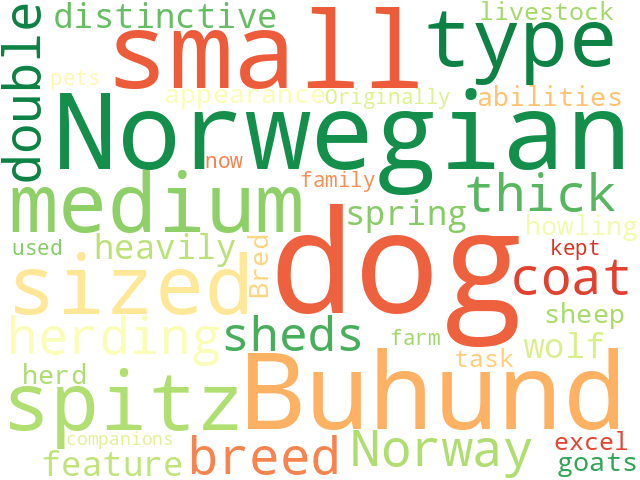 Word Cloud for norwegian_buhund