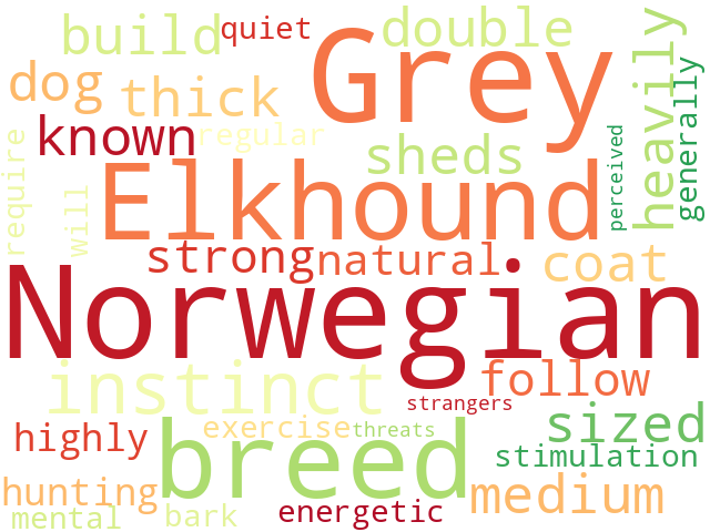 Word Cloud for norwegian_elkhound_grey