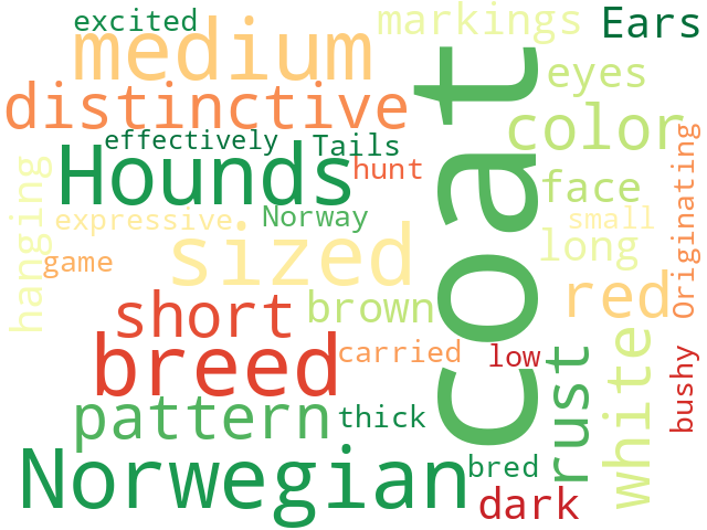 Word Cloud for norwegian_hound