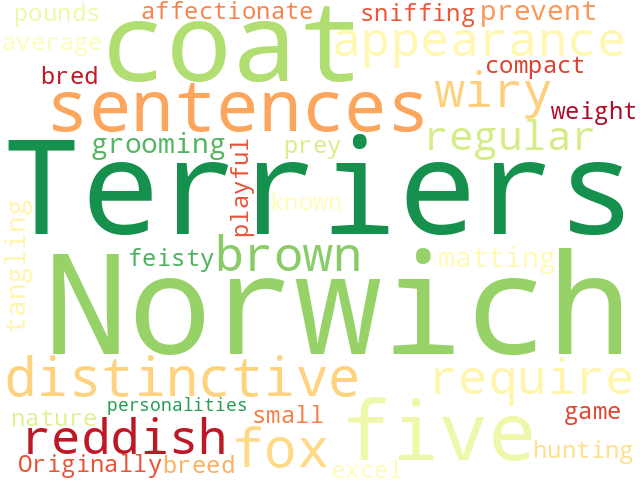 Word Cloud for norwich_terrier
