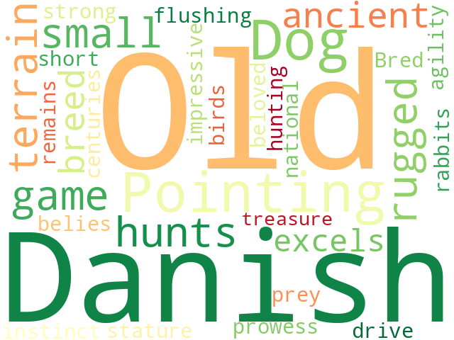 Word Cloud for old_danish_pointing_dog