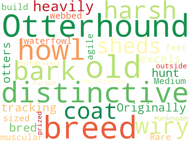 Word Cloud for otterhound