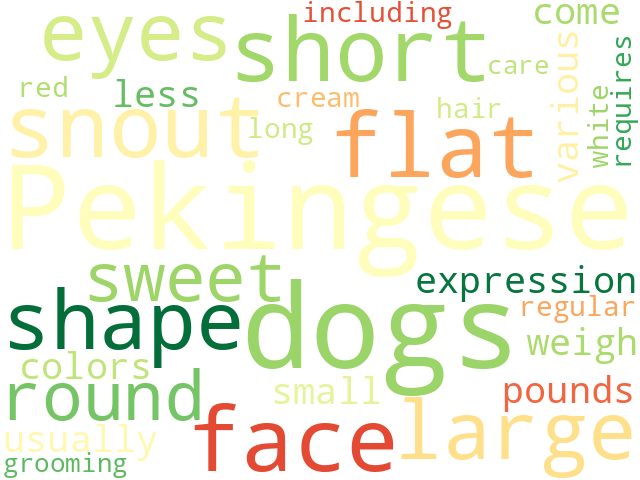 Word Cloud for pekingese