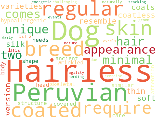 Word Cloud for peruvian_hairless_dog