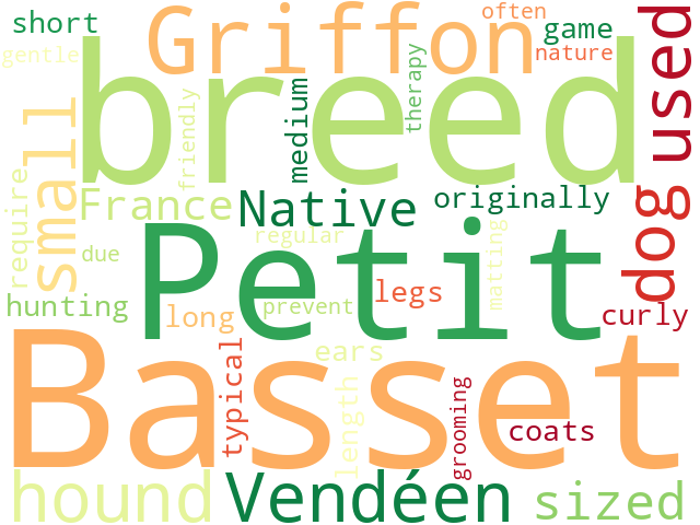 Word Cloud for petit_basset_griffon_vendeen