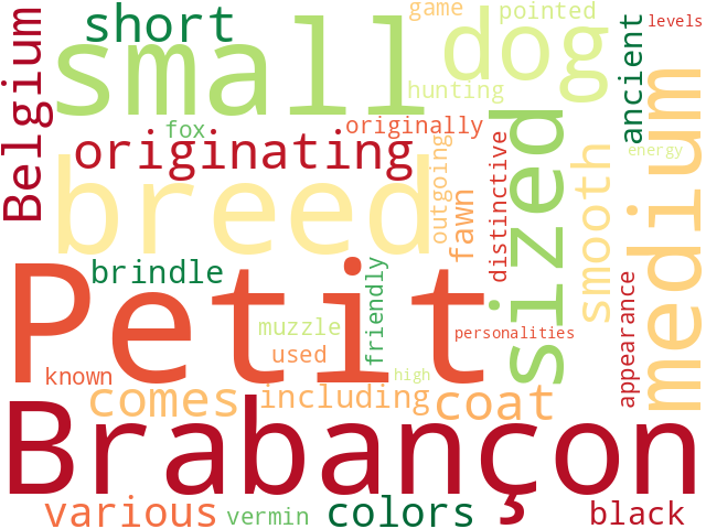 Word Cloud for petit_braban_on