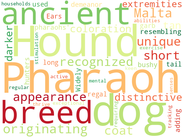 Word Cloud for pharaoh_hound