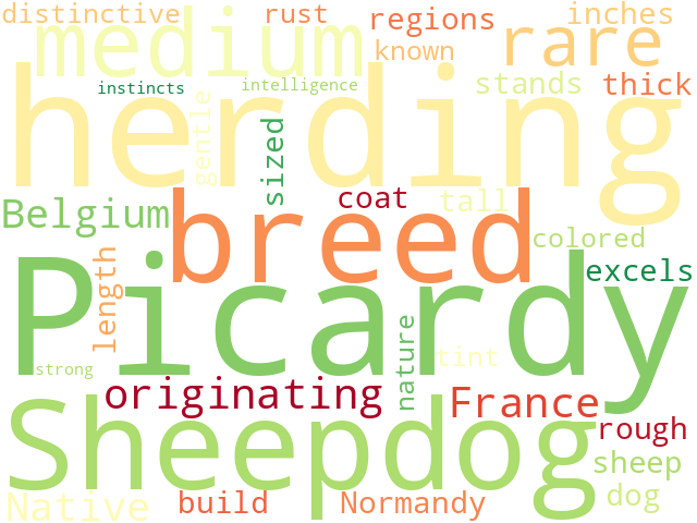 Word Cloud for picardy_sheepdog