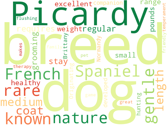 Word Cloud for picardy_spaniel