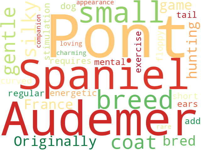 Word Cloud for pont_audemer_spaniel