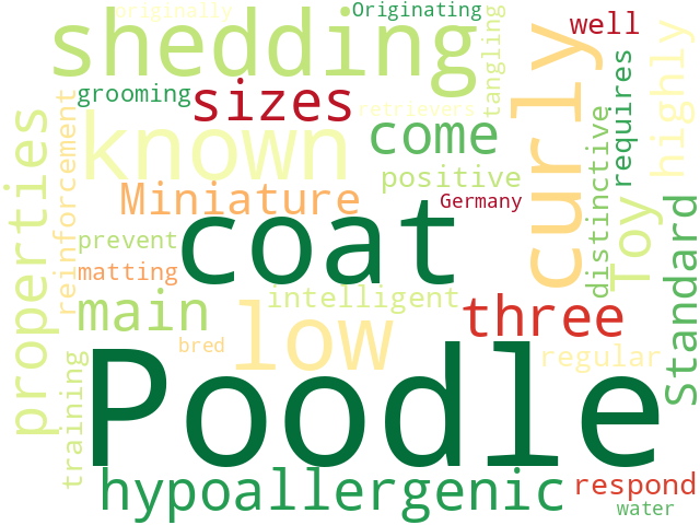 Word Cloud for poodle