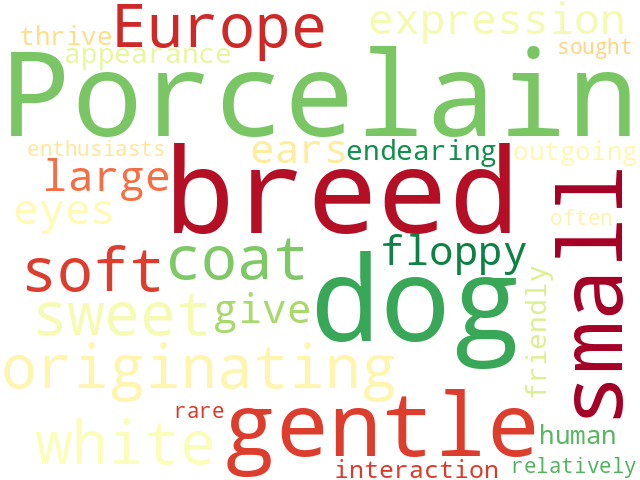 Word Cloud for porcelaine