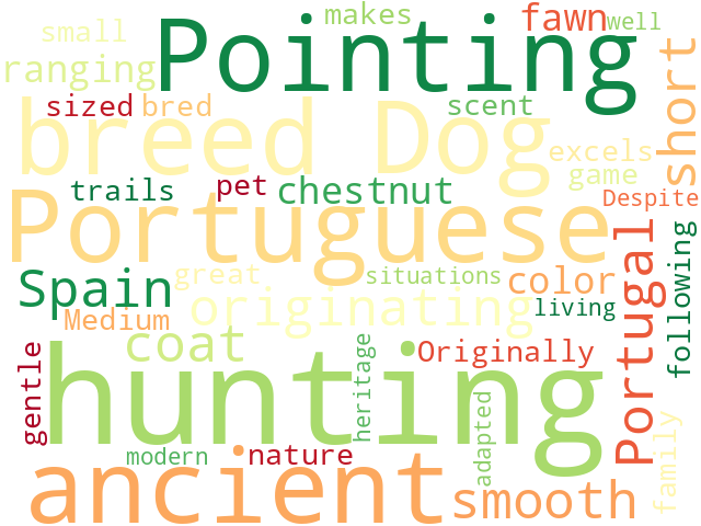 Word Cloud for portuguese_pointing_dog
