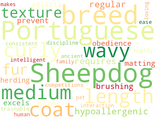 Word Cloud for portuguese_sheepdog