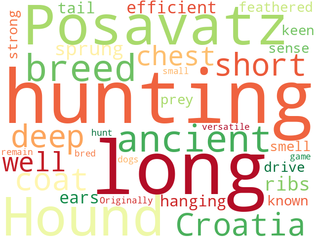 Word Cloud for posavatz_hound