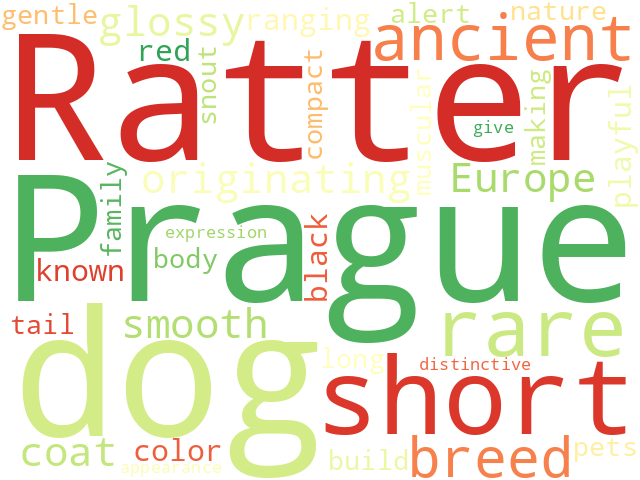 Word Cloud for prague_ratter