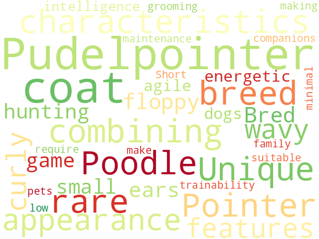 Word Cloud for pudelpointer