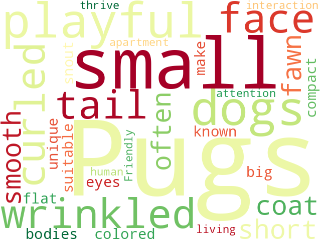 Word Cloud for pug